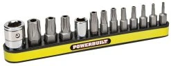 Powerbuilt Tools 13 Piece Tamper-Proof 5 Lobe Torx Bit And Socket Adapter Set