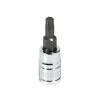 Powerbuilt 3/8 In. Dr. Torx Bit Sockets -Allspace shop t25 648326 01 50cf59aa 12ea 4eef a57c 3c53ccc01447 1500x