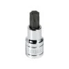 Powerbuilt 1/2 In. Dr. Torx Bit Sockets -Allspace shop t55 642400 01 1500x